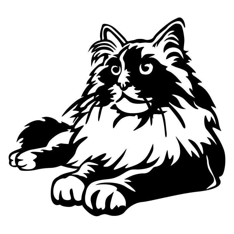 Chat Ragdoll