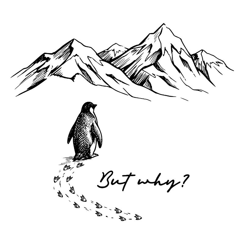 But why? Pinguin Meme Antarktis Schnee Spuren Eis