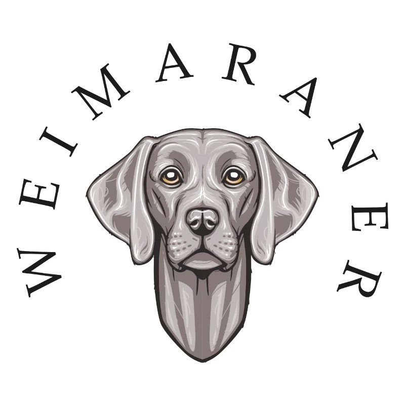 Weimaraner