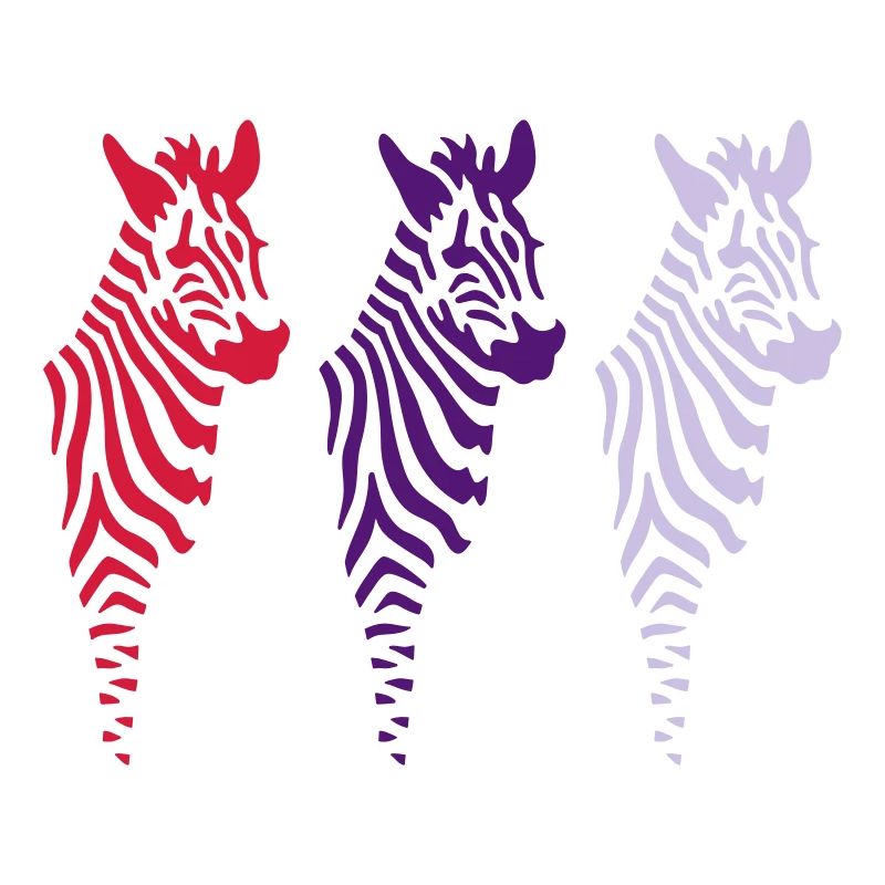 three zebras (b)