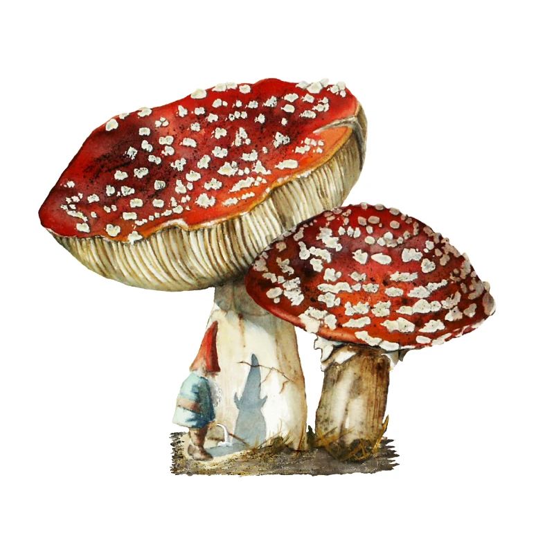 gnome