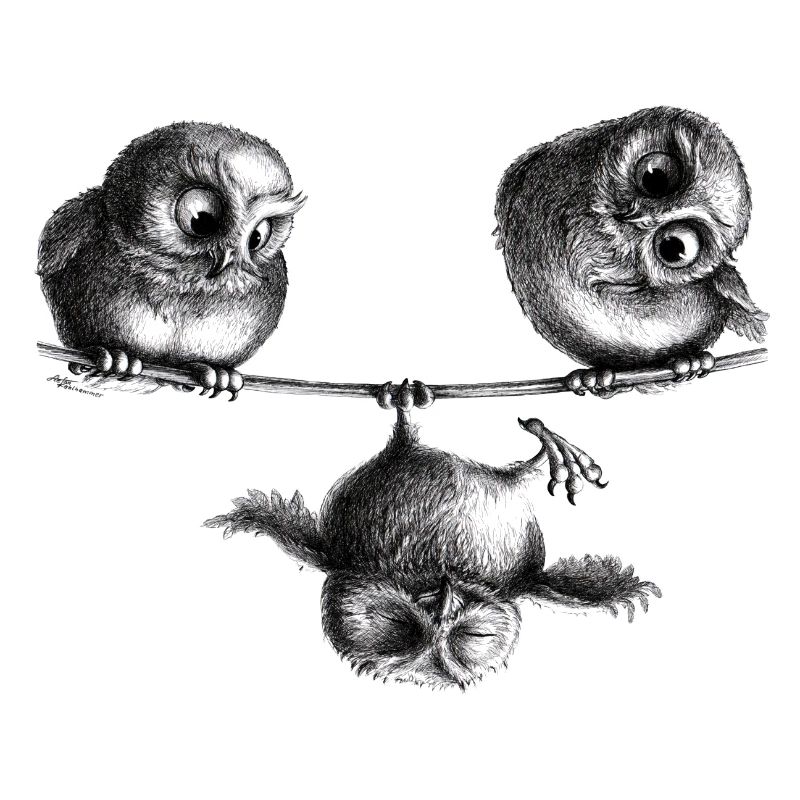 Three Owls - Freedom and Fun