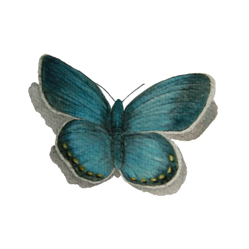 Schmetterling Bläuling
