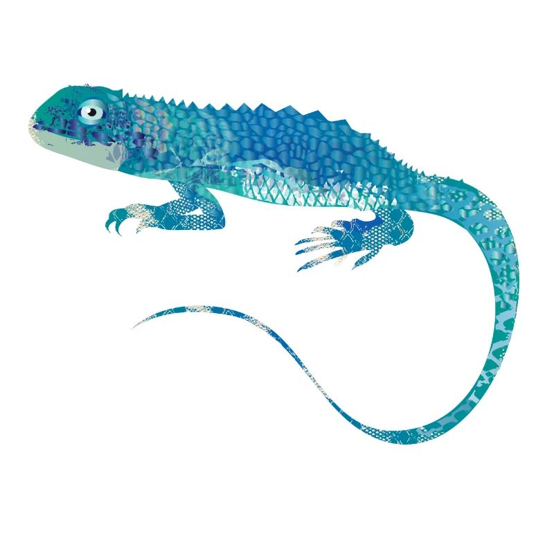 collage d'iguane bleu de différents modèles