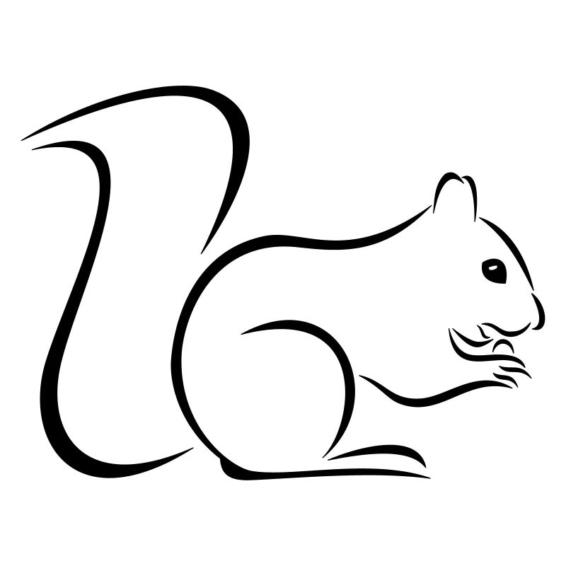 Eichhörnchen