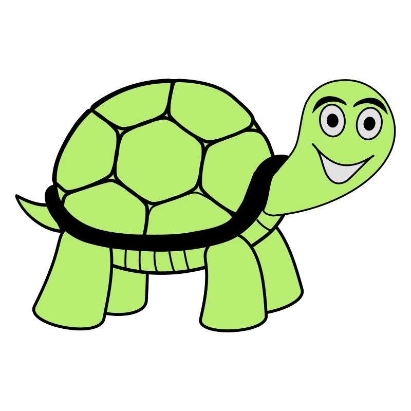 turtle