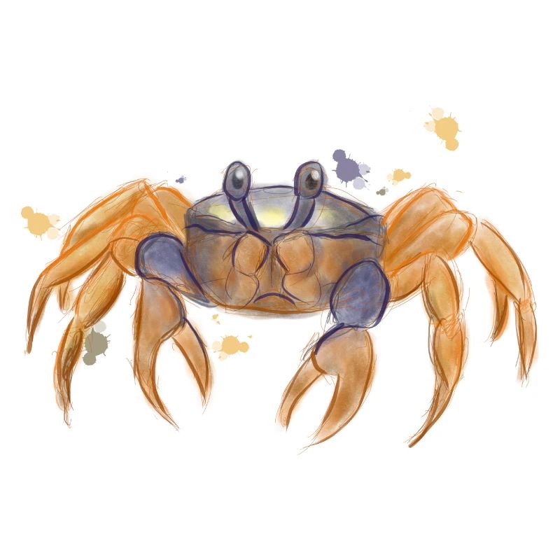 Crabe mignon