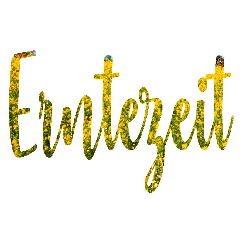 Ernte