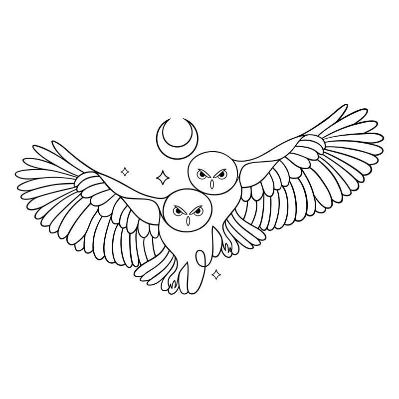 Eule Eulen Mond Liebe Infinity