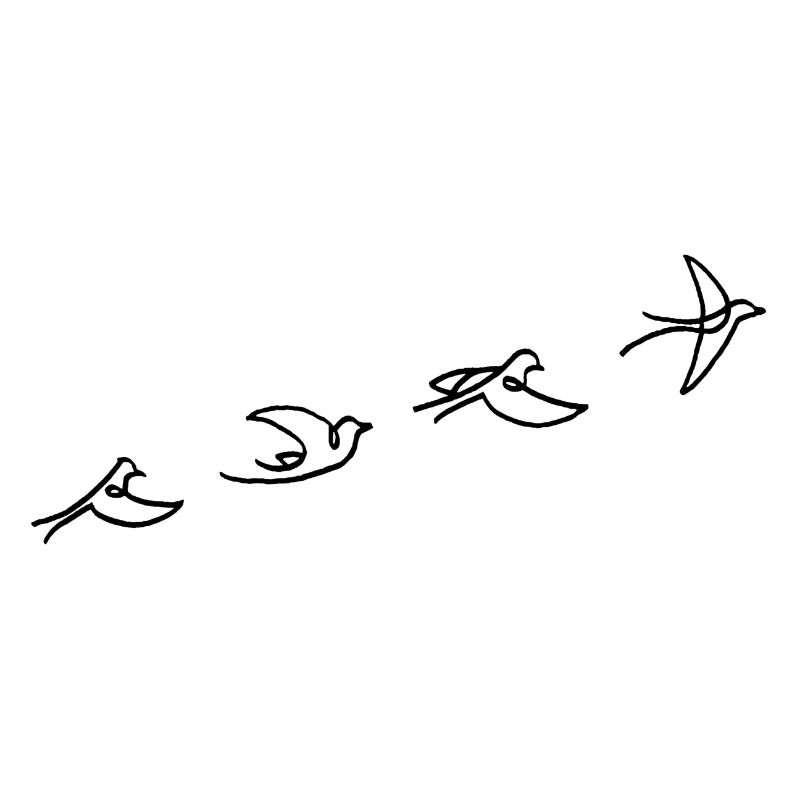 Le vol de l'oiseau noir