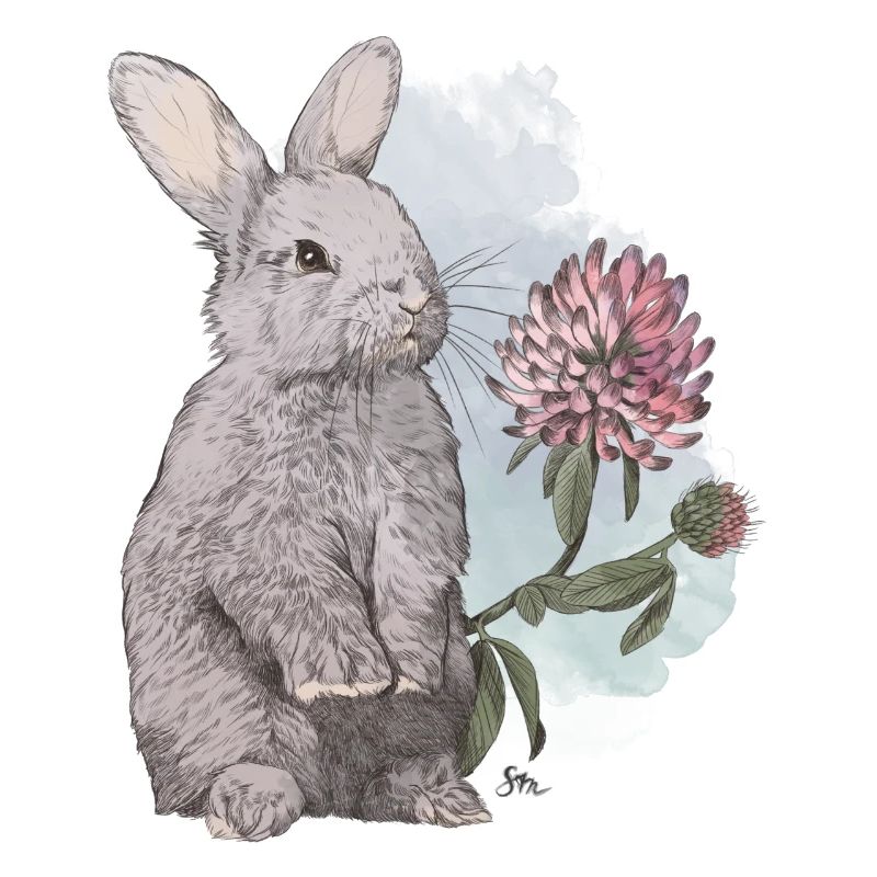 Veganuary 2024 Rabbit