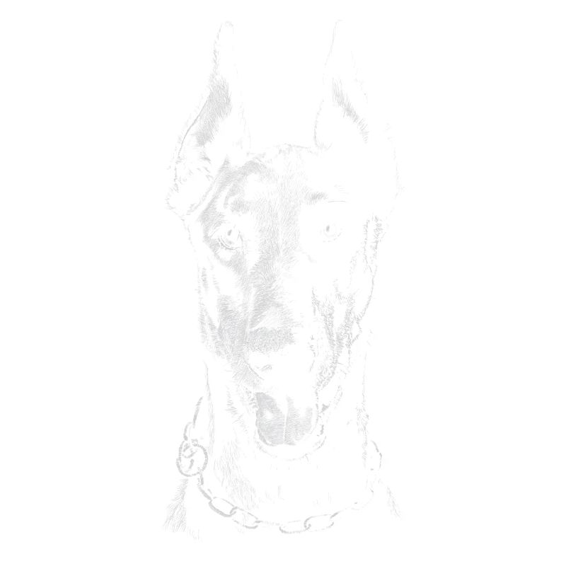 Doberman