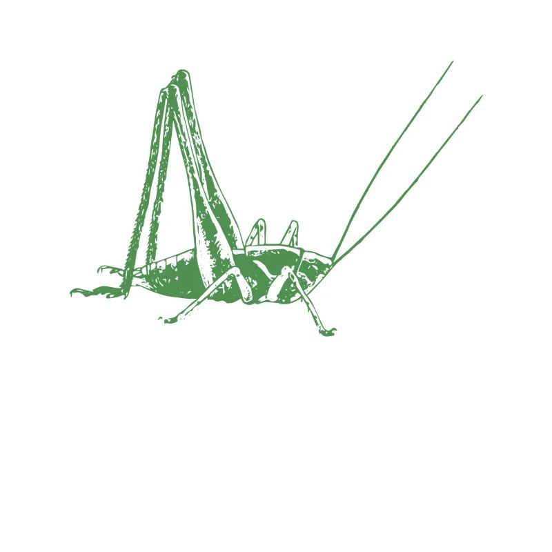 Grasshopper
