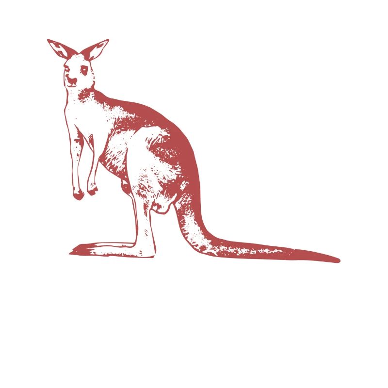 kangaroo