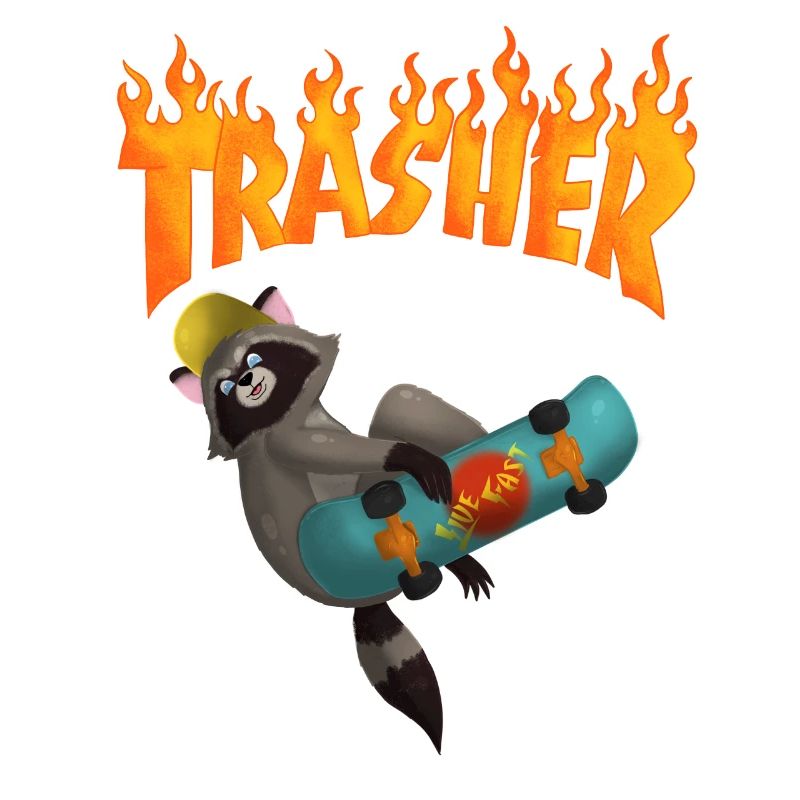 Waschbär Skateboard