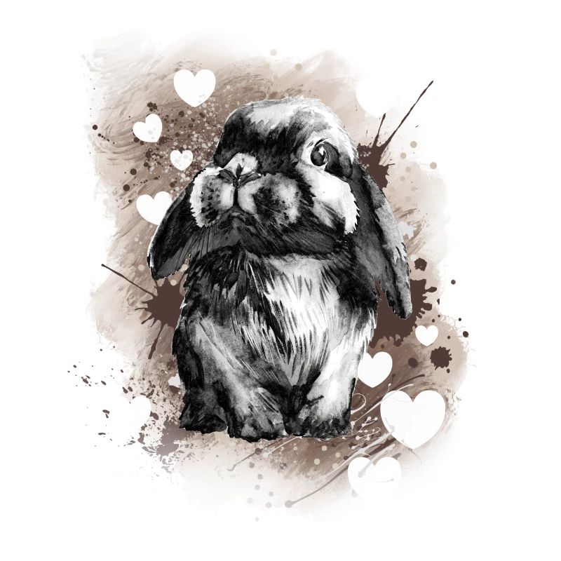 Rabbit