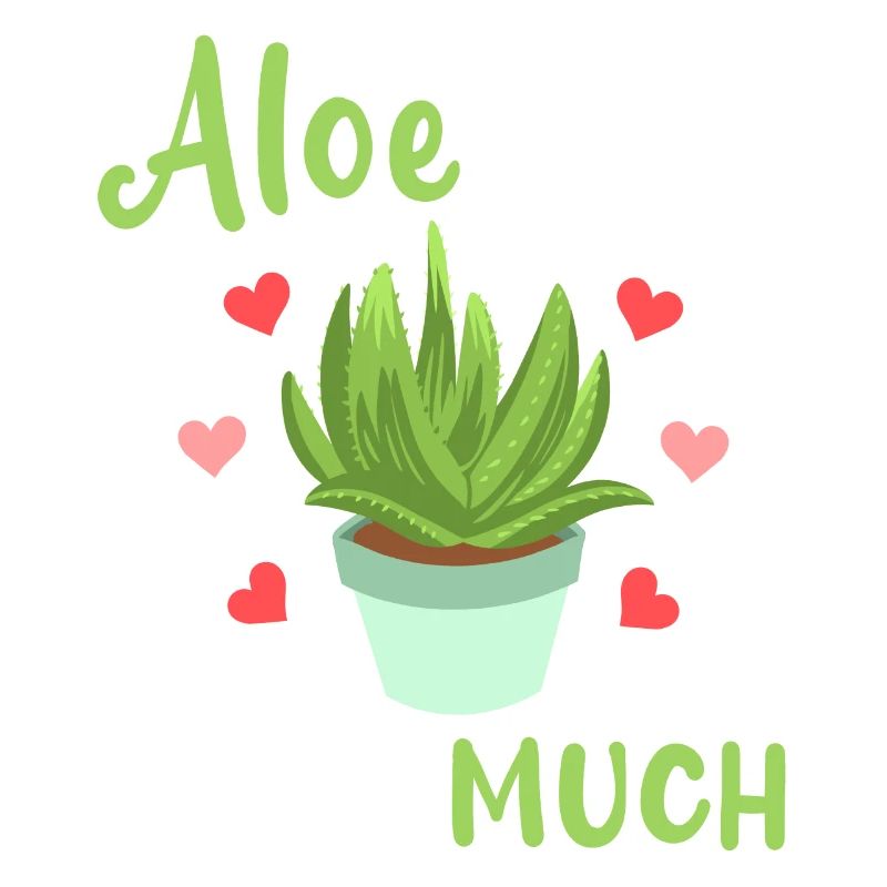 Aloe Vera Sukkulente