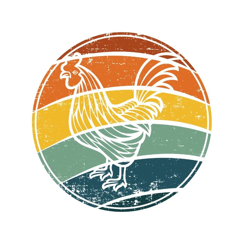 Poulet de poulet poule