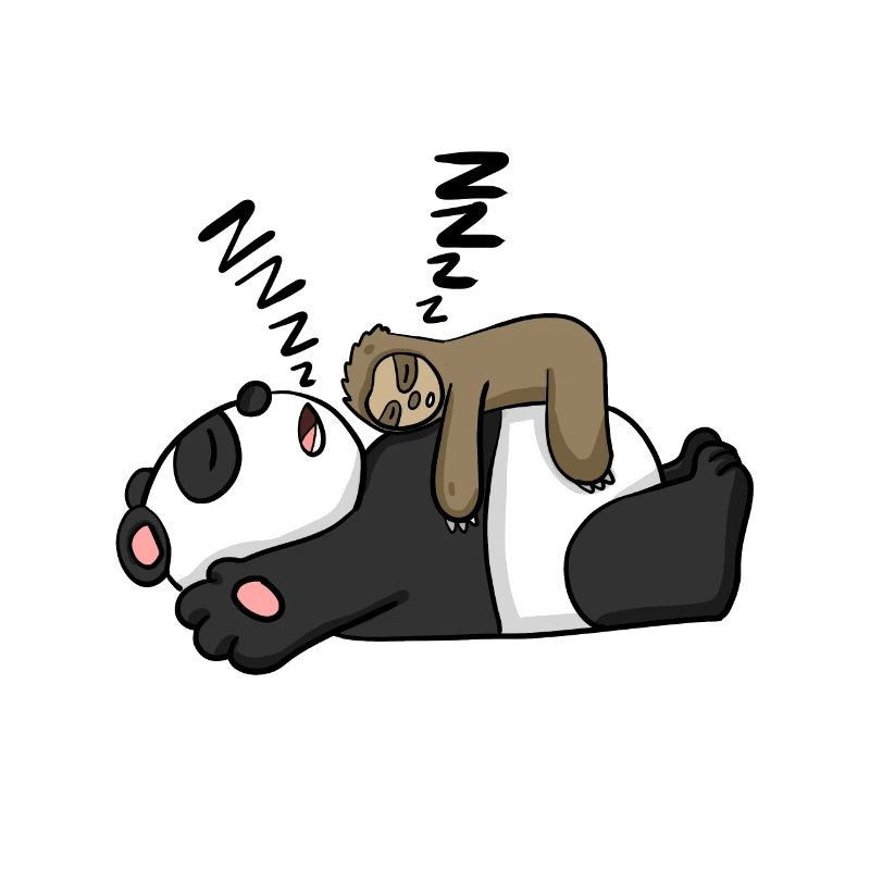 Sloth and panda