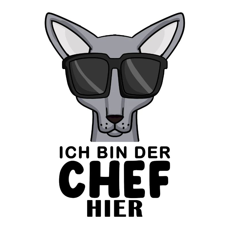 coole Katze - Sphynx Katze Spruch