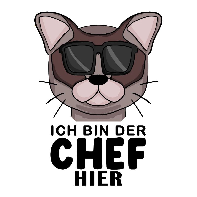 coole Katze - Burma Katze - Chef Spruch