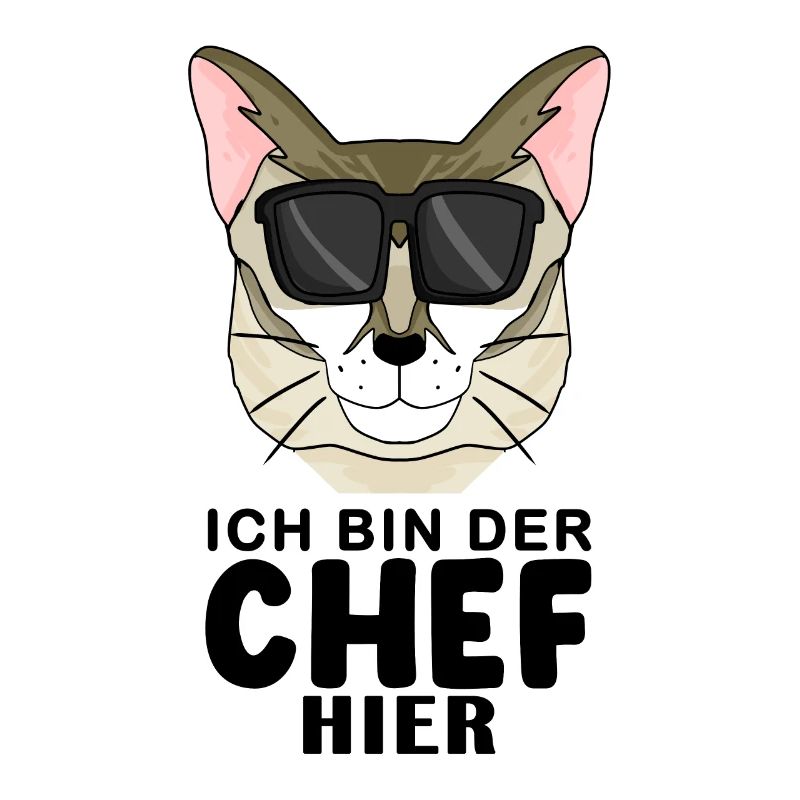 coole Katze - Singapura Katze - Chef Spruch