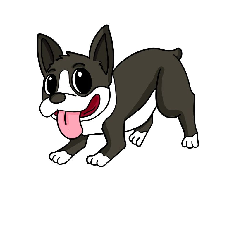 Boston Terrier Hunderasse Hund Hunde