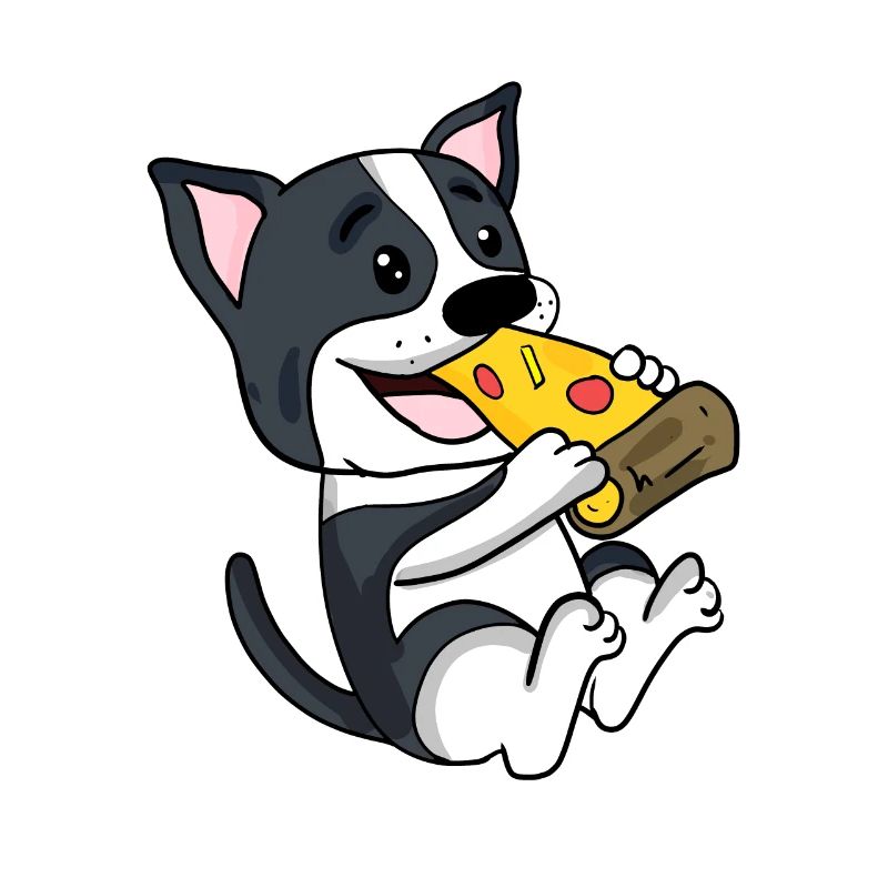 Pizza pour chien Boston Terrier