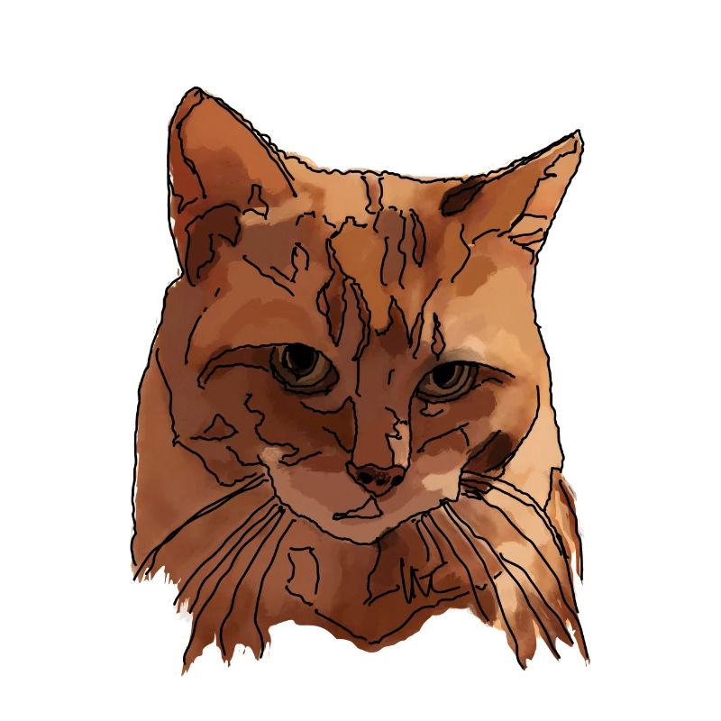 Chat