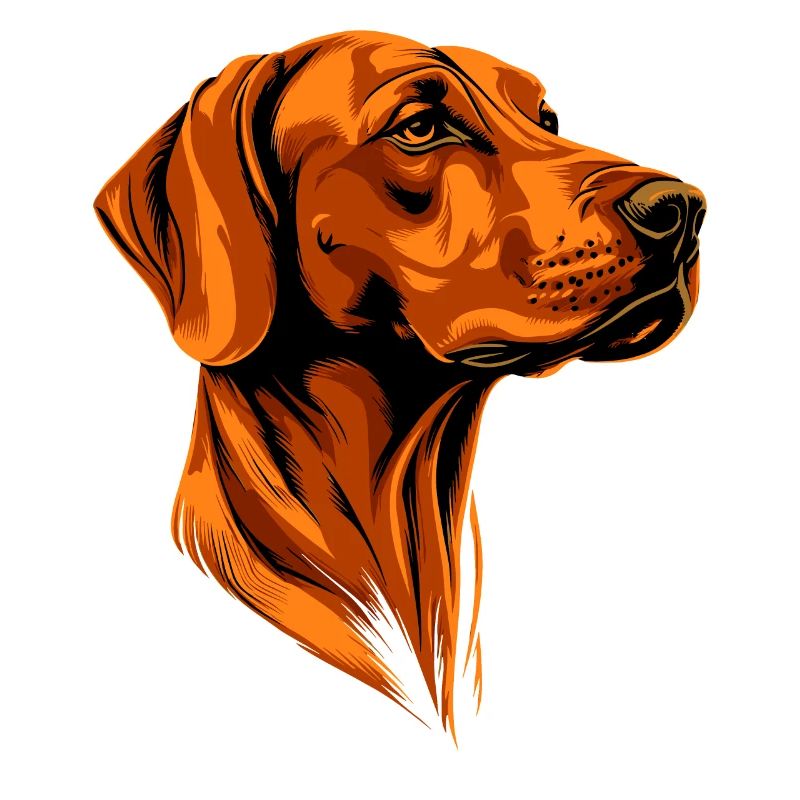 Rhodesian Ridgeback Jagdhund Hunde Stolz Ridgeback