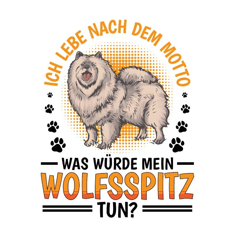 Que ferait le Wolfspitz allemand