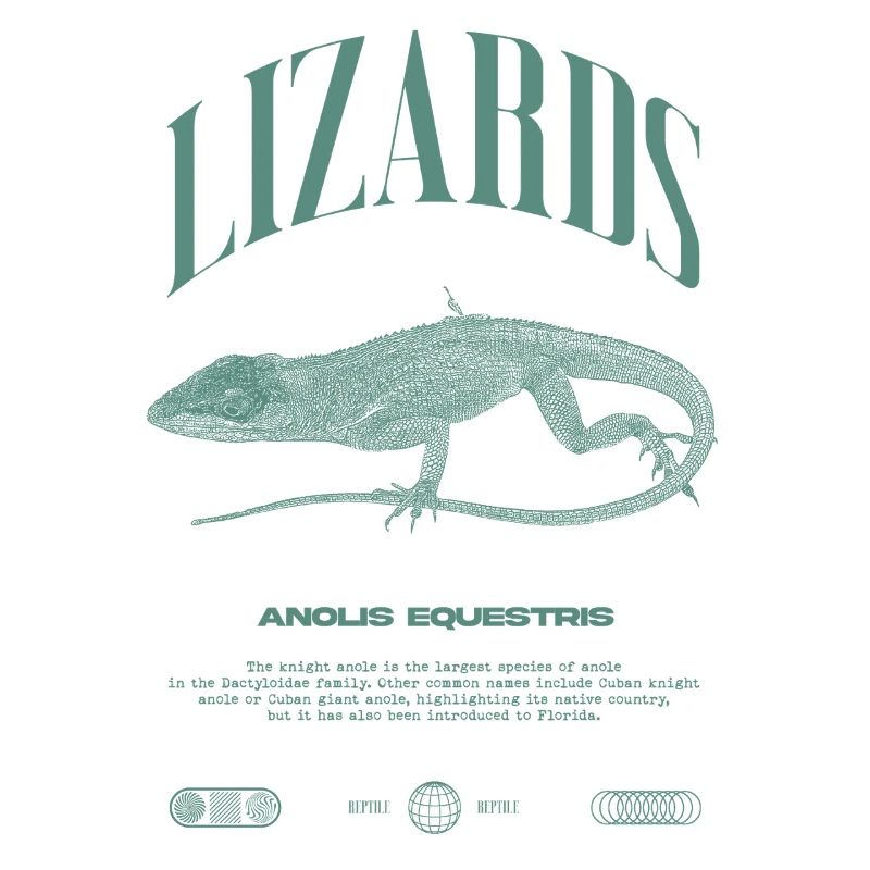 Kubanischer Ritter Anole Reptilienhalter Eidechse