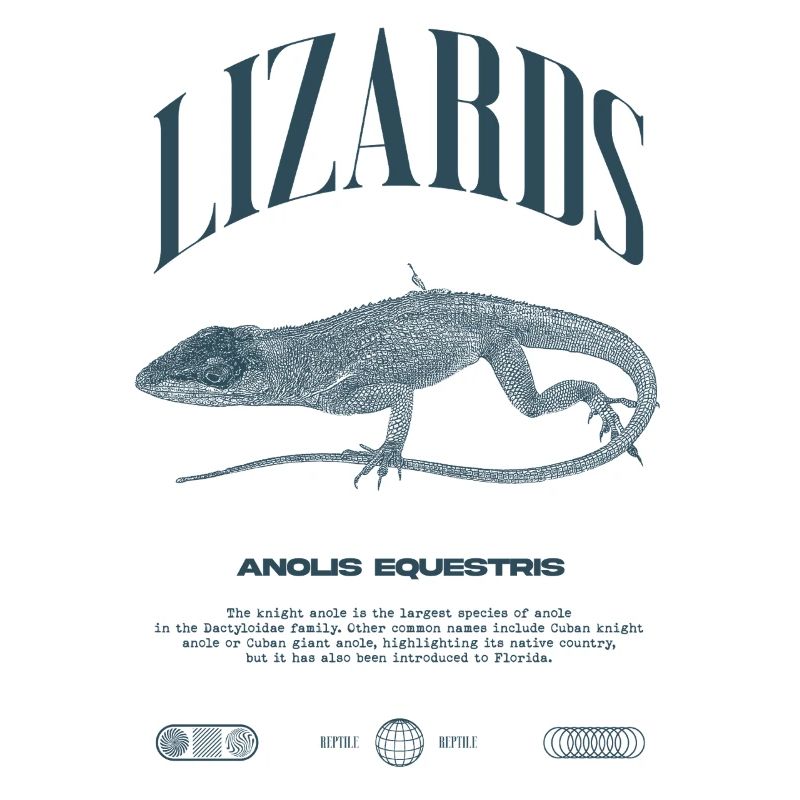Kubanischer Ritter Anole Reptilienhalter Eidechse