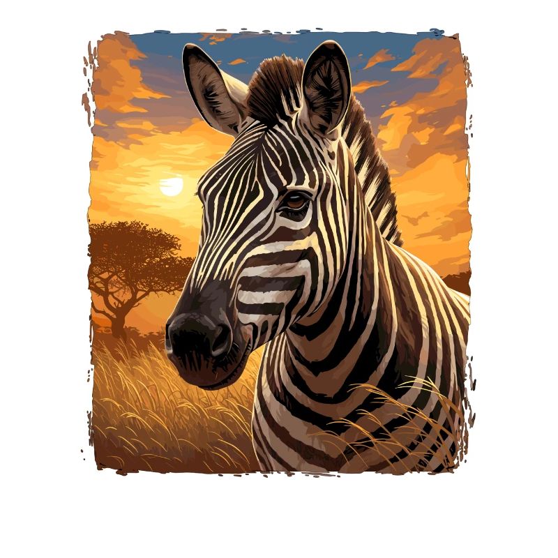 Zebras Zebra