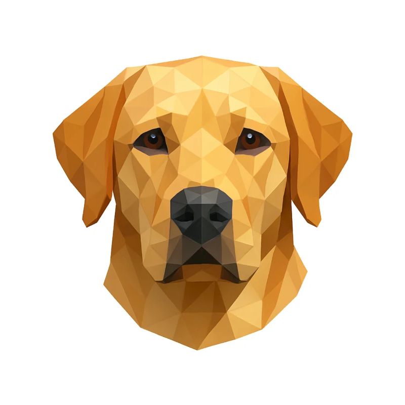 Polygon Labrador Retriever Gift