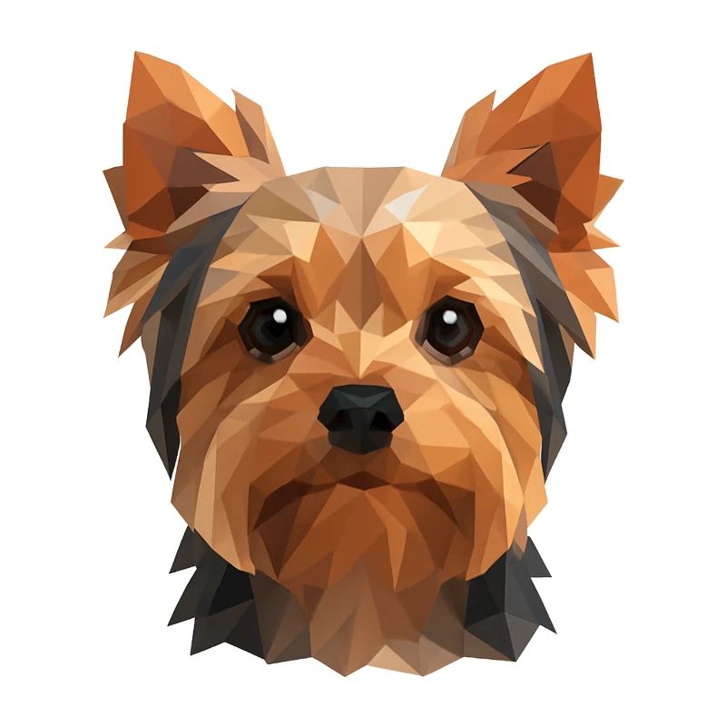 Mignon Yorkshire Terrier – Polygon Dog Design