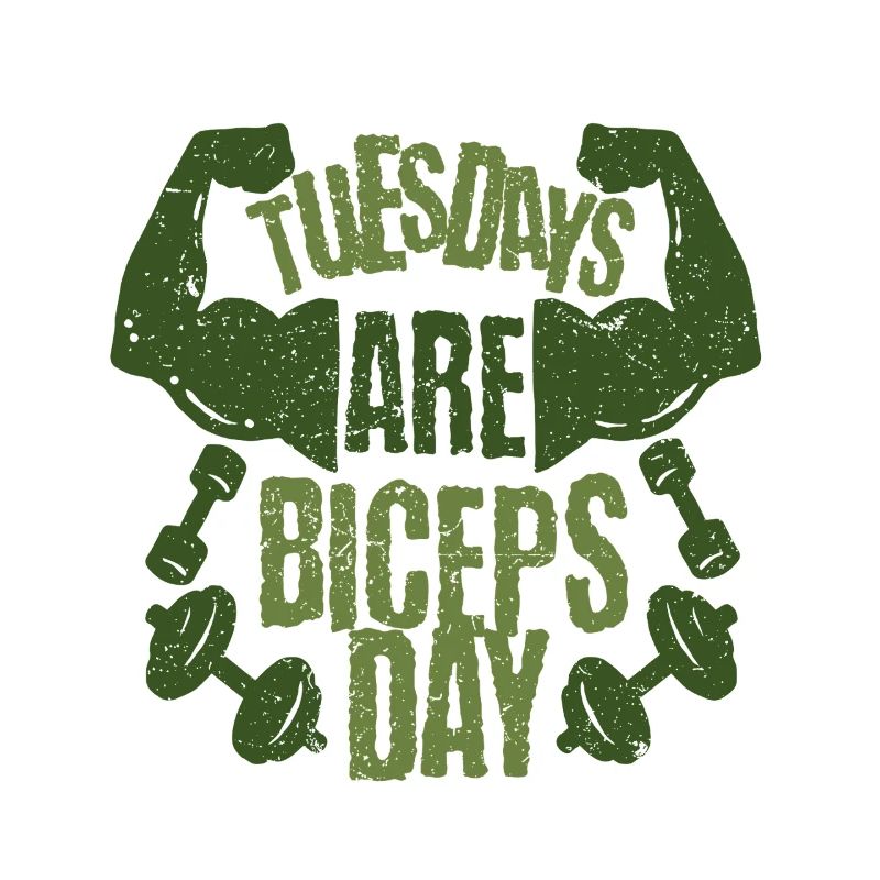 Biceps Bicep Training Bodybuilder Gym