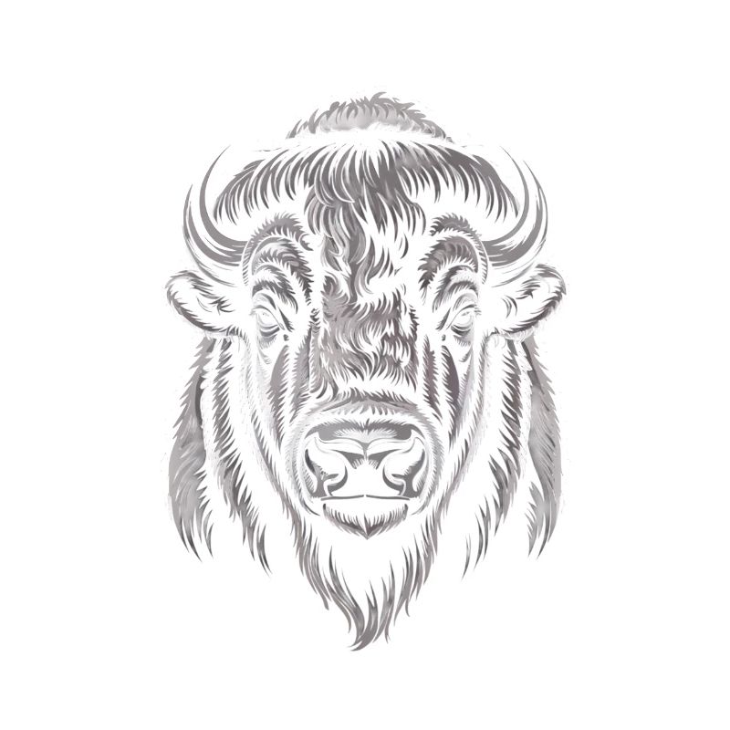 Buffalo Head Illustration