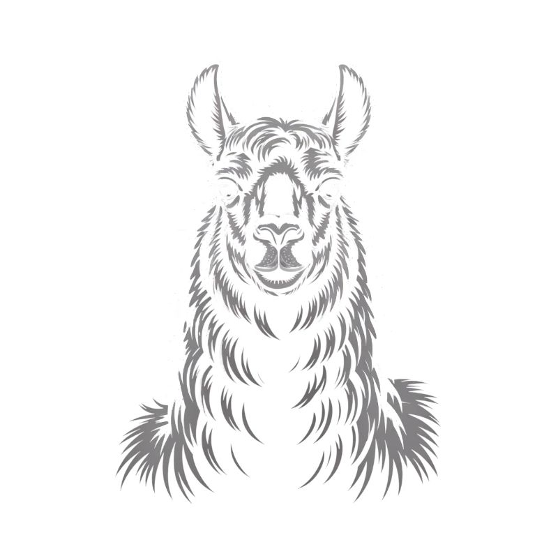 Llama Portrait