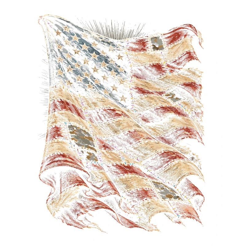 Veterans Day for Democrats
