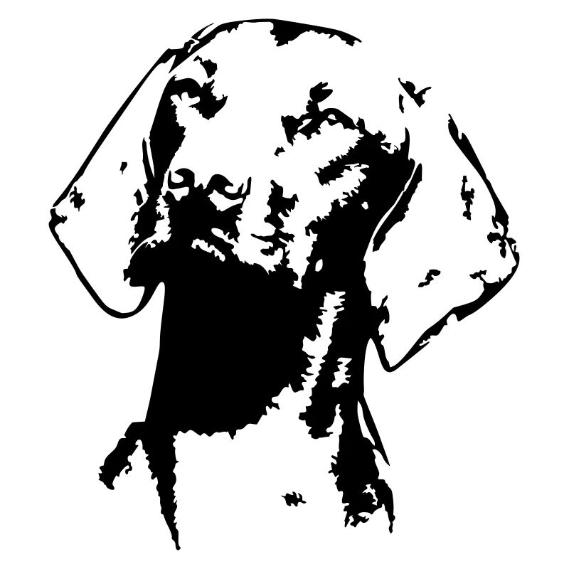 Magyar Vizsla head