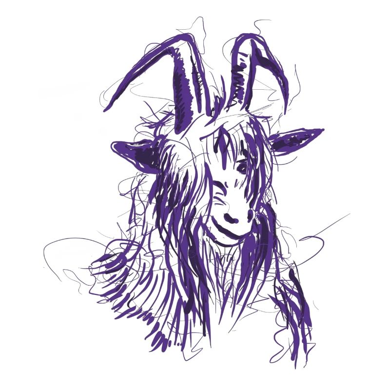 Bock (lila)