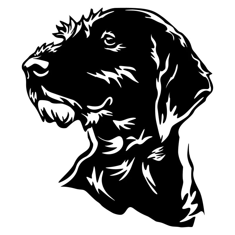 German Wirehaired Head