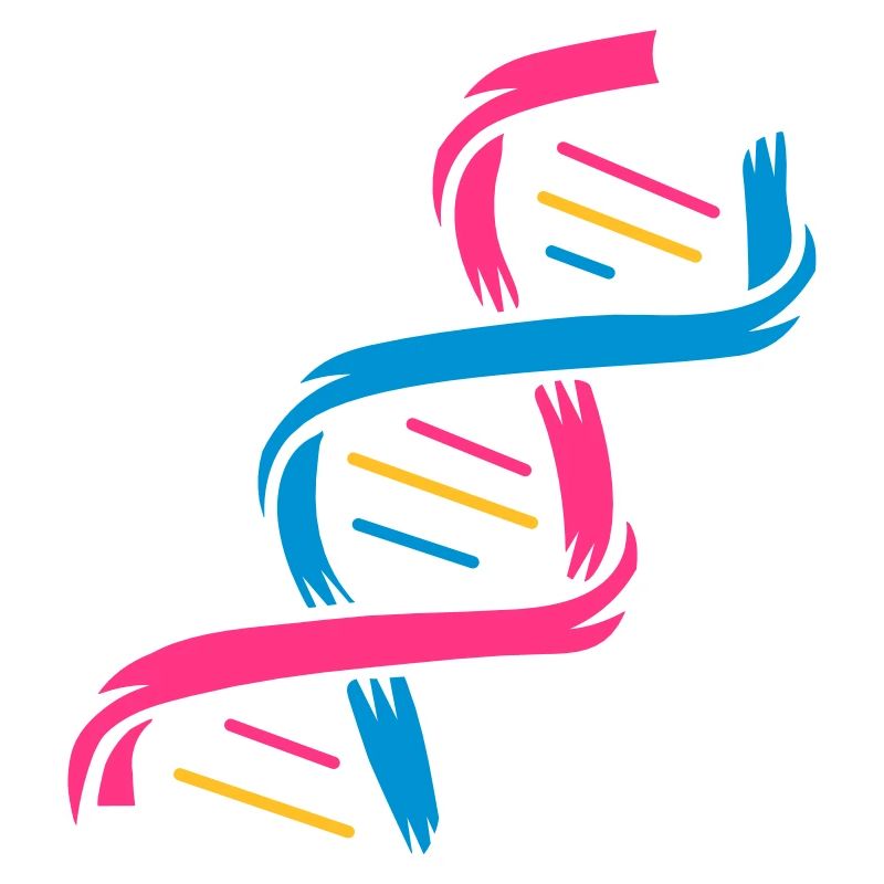 La structure d'une molécule d'ADN