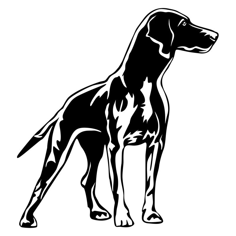 Magyar Vizsla