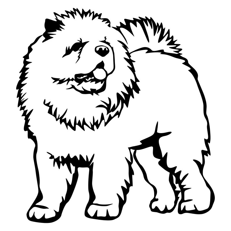 Chow Chow