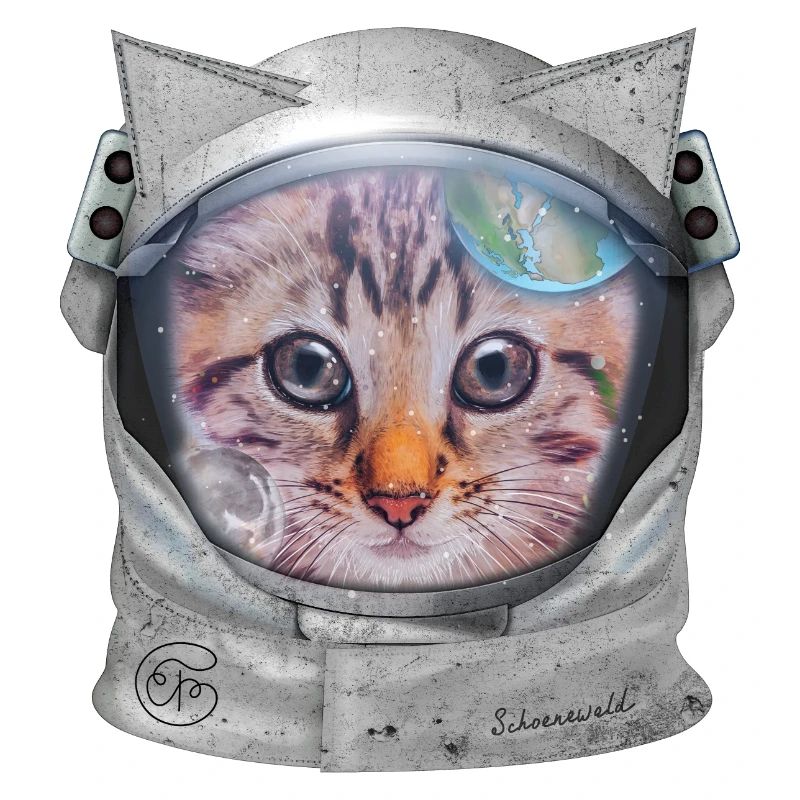 Chat dans l’espace