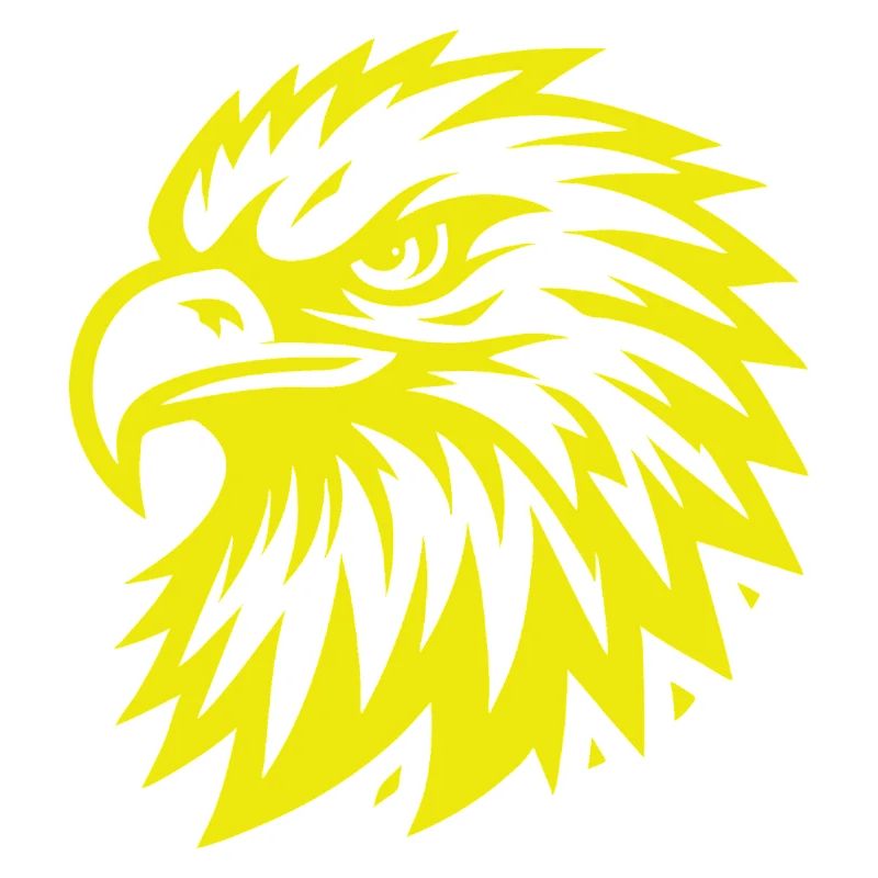 Golden Eagle Head – Majestic Eagle Design