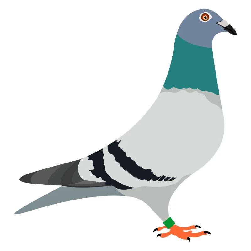 Brieftaube