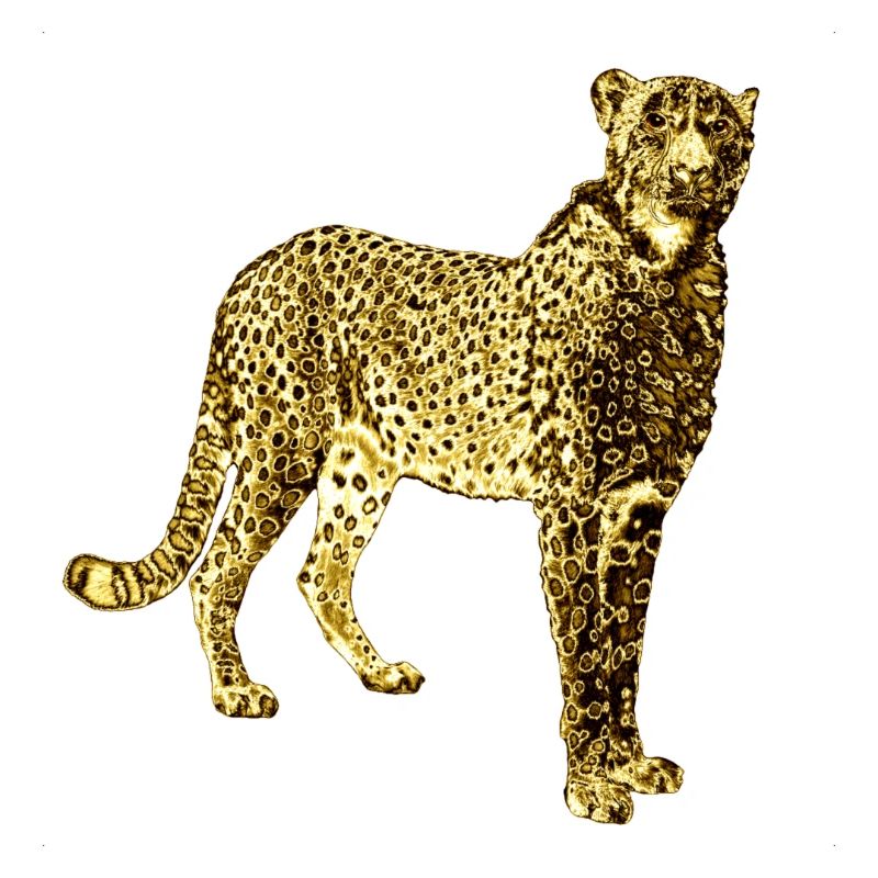 Leopard Golden Graffiti Art